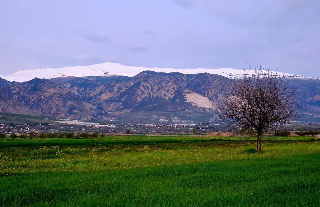 Finca Bellas Vistas-1