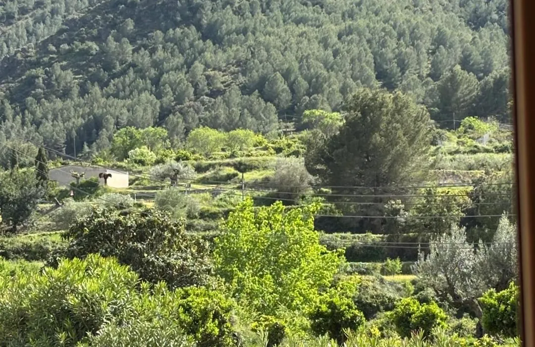 Casa Rural Carricola-1