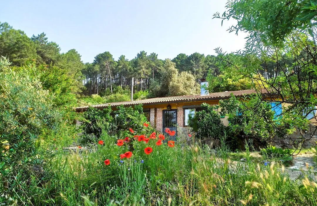 Casa Rural Las Gesillas-1