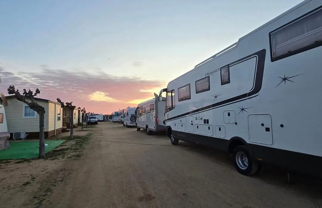 Camping El Pinar Platja-1