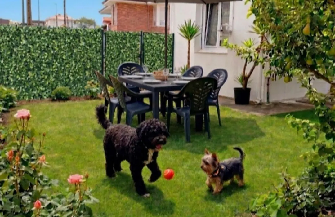 La Casita de Suances - a 5 min de la Playa Ideal Familias y Mascotas-1