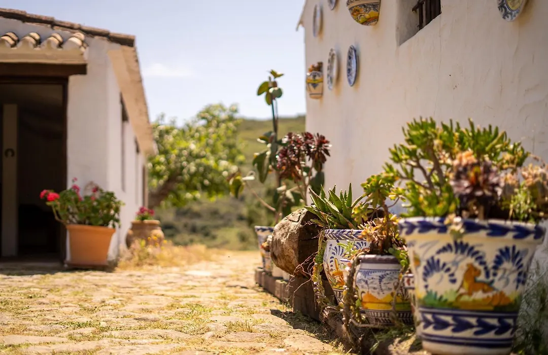 Finca Santa Teresa, Casa La Higuera-1