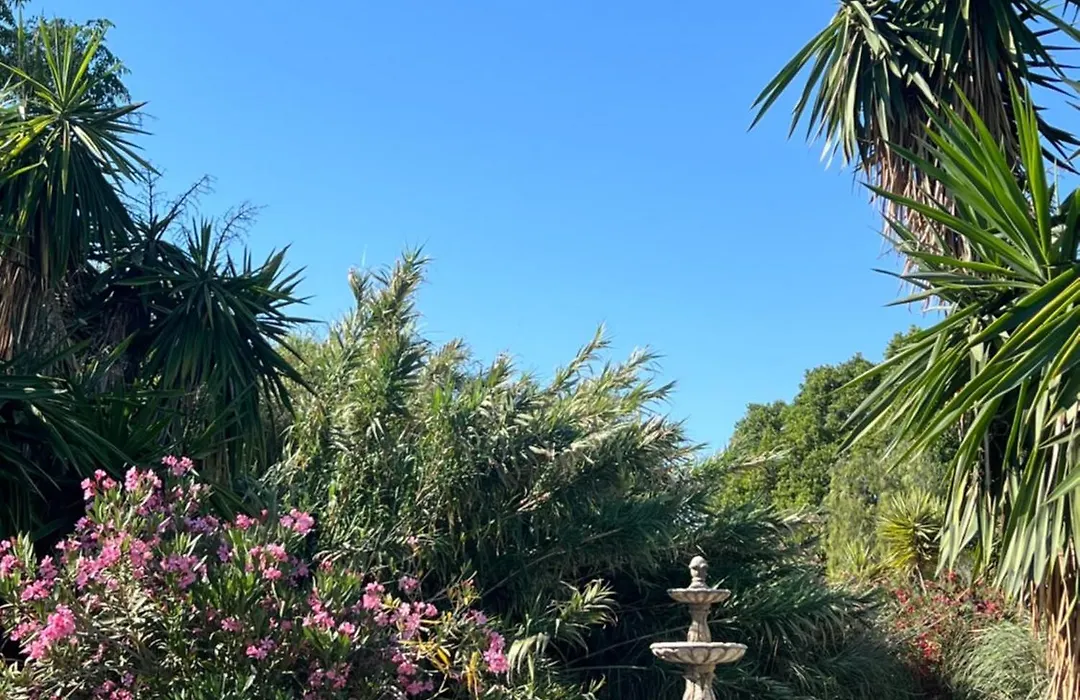 La Finca Blanca-1