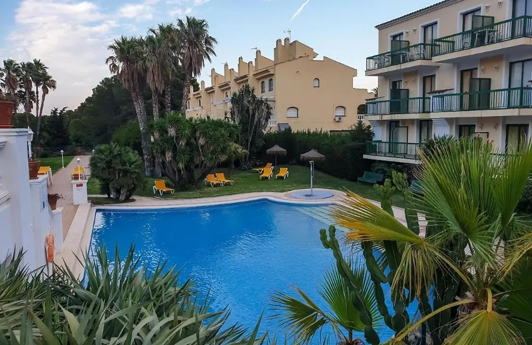 Alegria Pino Alto-1