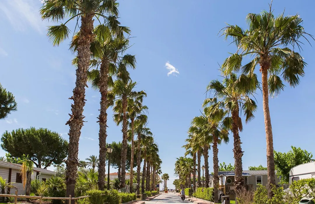 Camping Estival Vendrell Platja-1