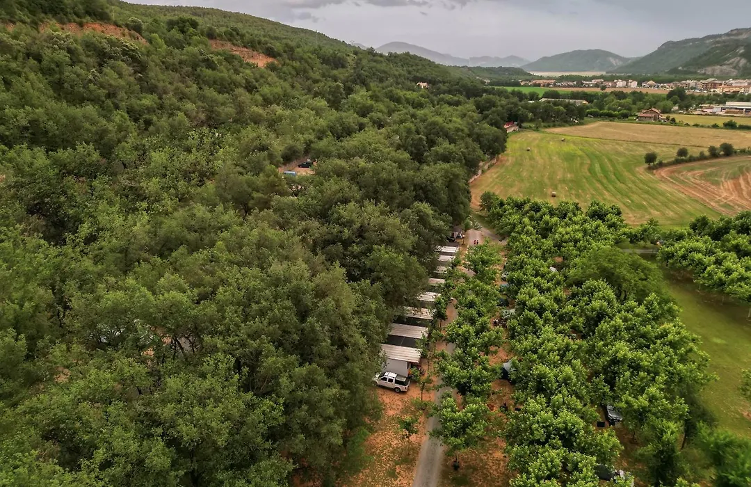 Holacamp Ainsa-1