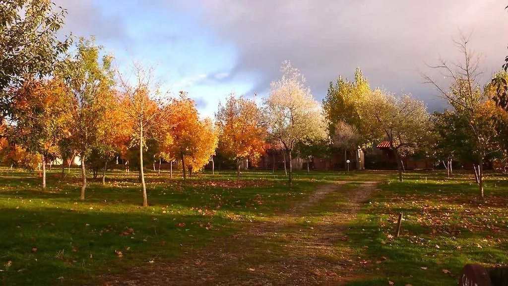 Camping Aín Jaca-1