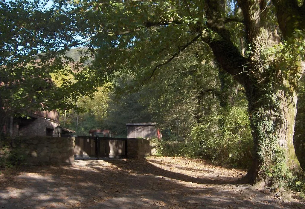 Hostal Itzalargikoborda-1