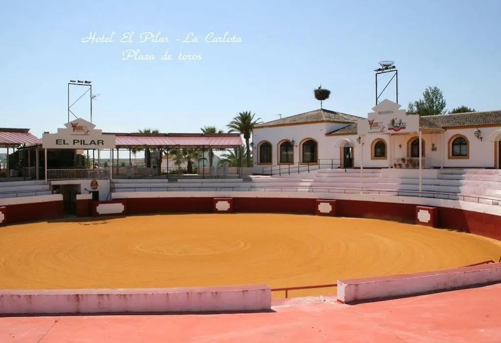 El Pilar-1
