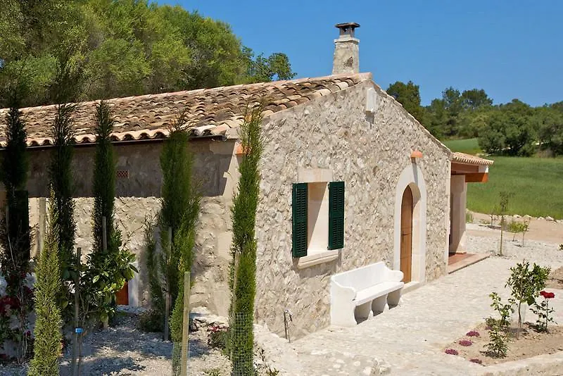 Es Puig Molto-1