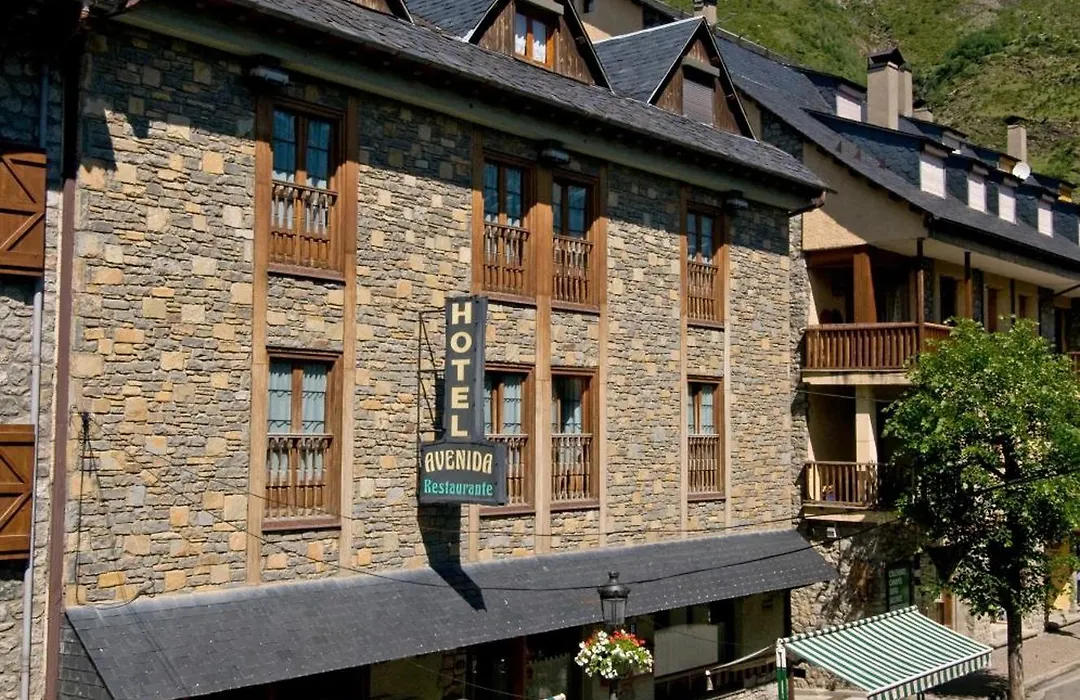 Hotel Avenida Benasque-1