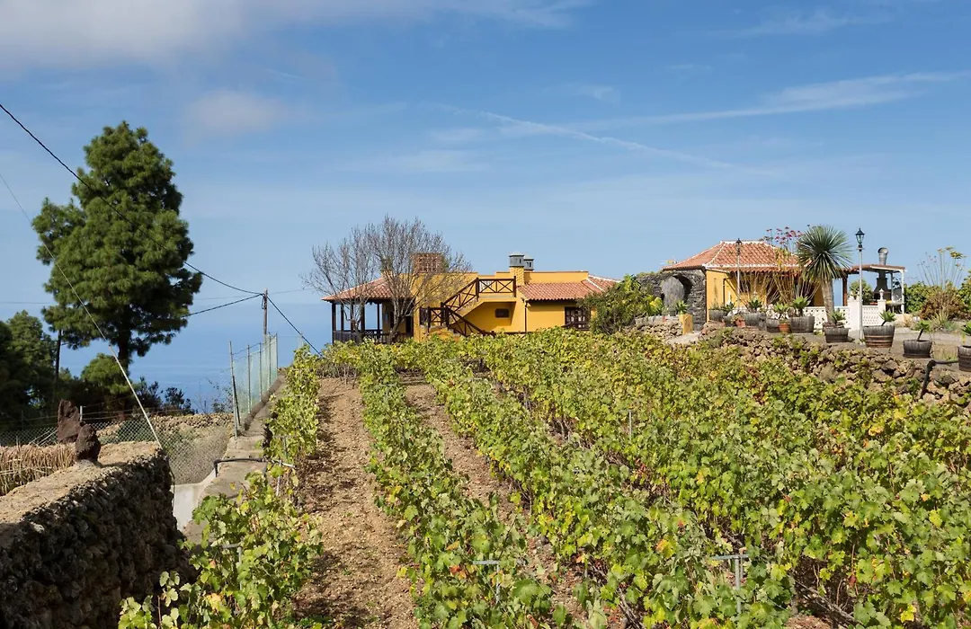 Finca Casa Yaya-1