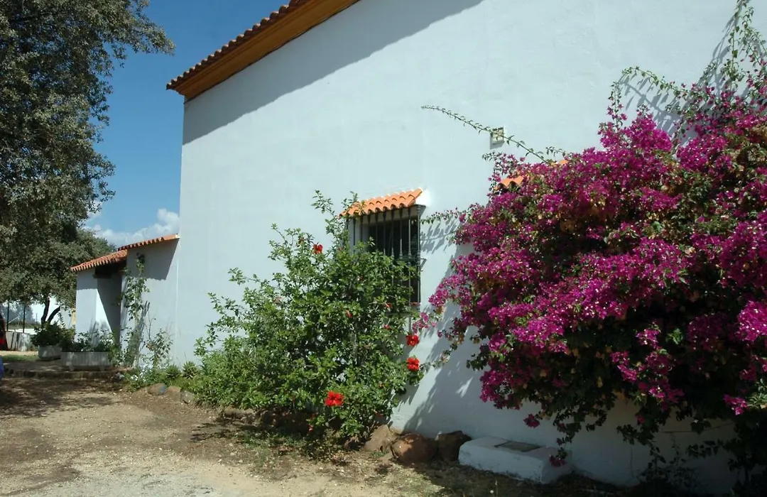 El Romerito-1