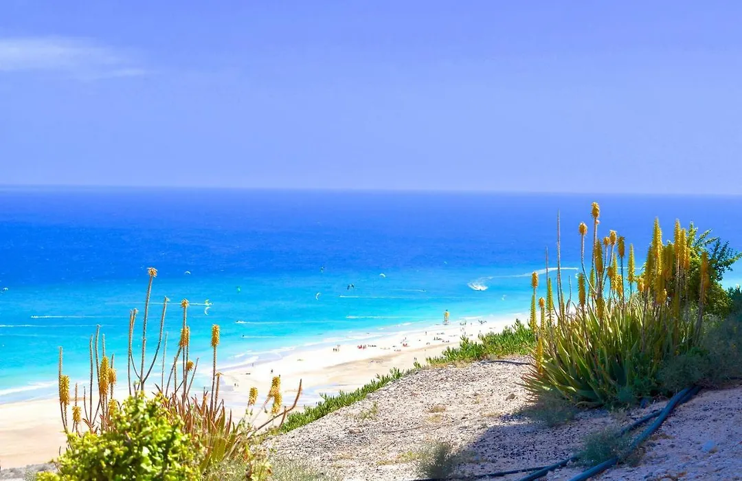 Residencial Playa Paraiso-1