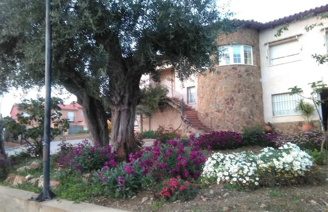 La Casa de Polito-1