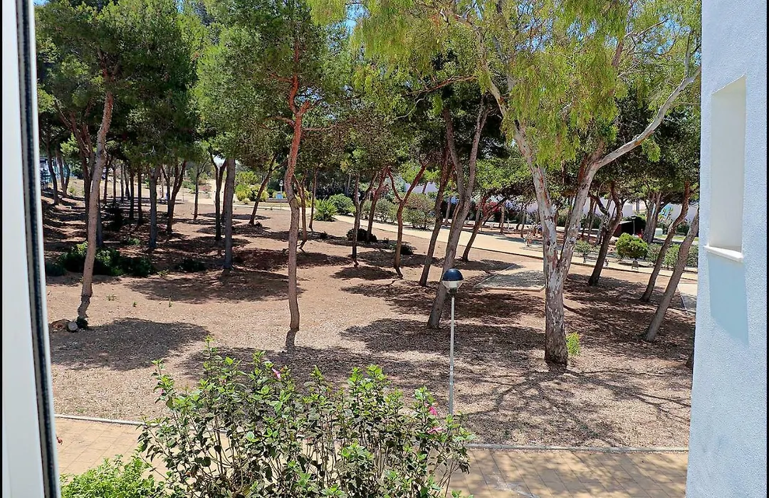Apartamento Parque la Atalaya-1