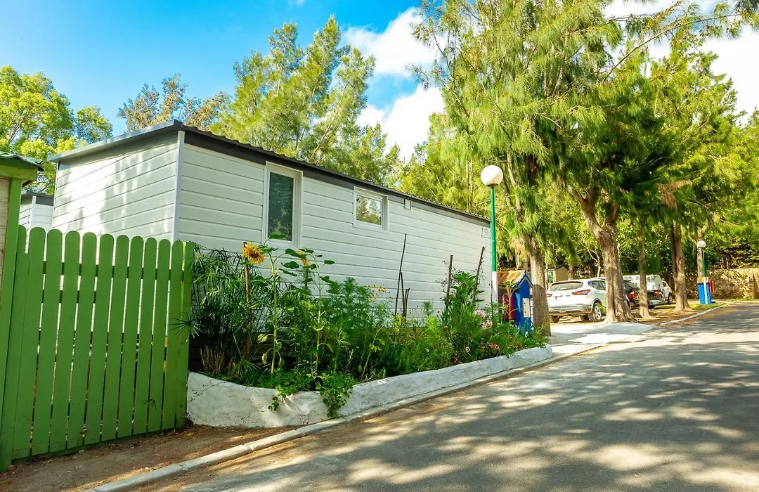 Camping Paloma-1