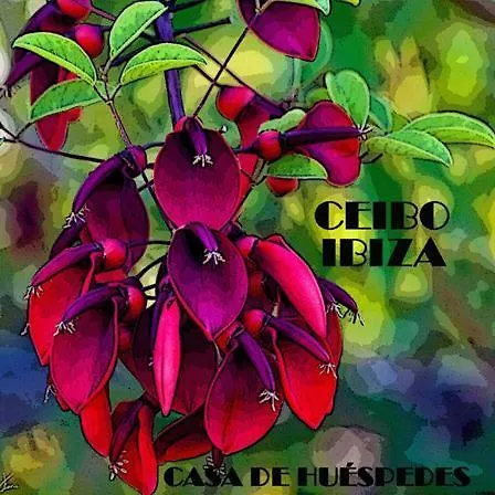 Ceibo Ibiza - Guest House-1