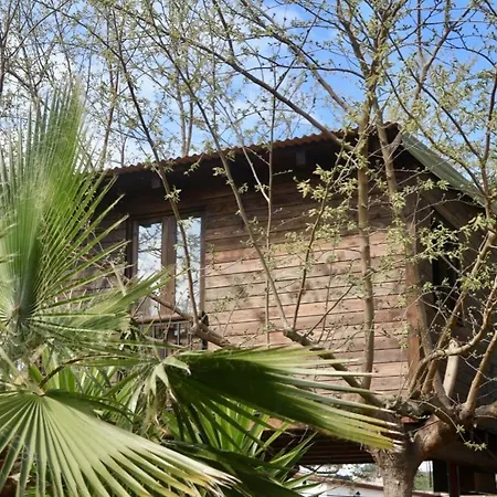 Naturetreehouse Casa Sobre Los Arboles-2