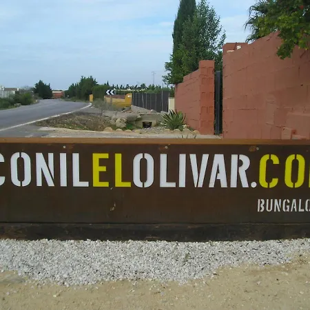 El Olivar de Roche Viejo-2