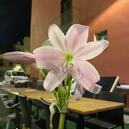 Restaurant & Rooms Cabrit-2