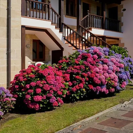 Apartamentos Ciudad De Petra-2