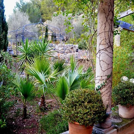 Son Bleda-2