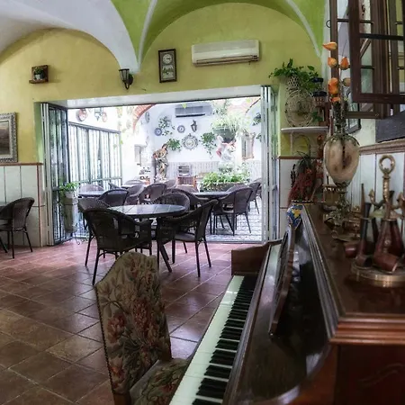 Hotel Las Palmeras By Vivere Stays-3