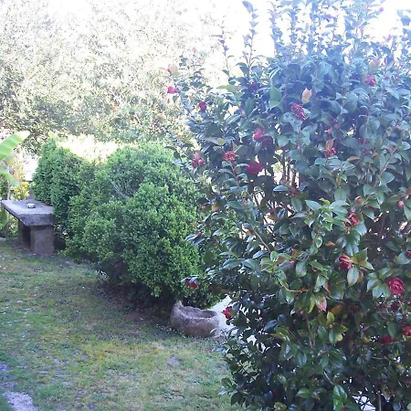 Casa Paredes - Rías Bajas-3