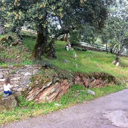 Casa Mandarina Aracena-3