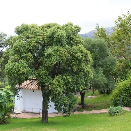 Finca El Campo-3
