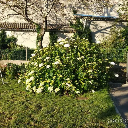 Casa Hortensia-3