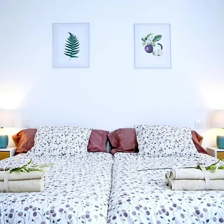 Apartamento PILARE, a las puertas del Pirineo Navarro-2