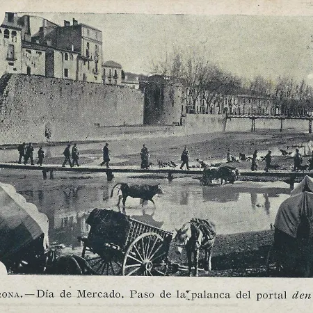 Girona La Lleona-2