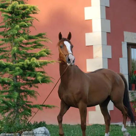 CASUCAS LA GUARIZA (Casa Eva )-3