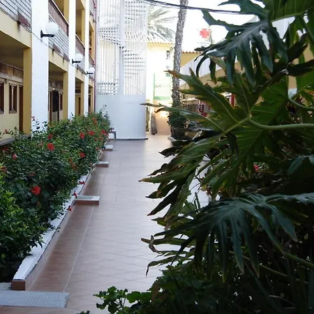 Apartamentos Los Tilos-2