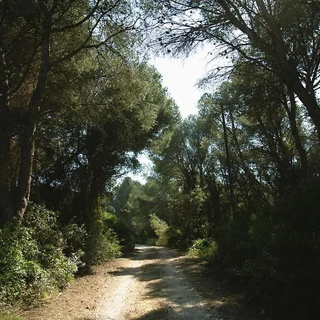 Masia Bartomeu Rural House Between Vineyards 2Km From The Beach-3