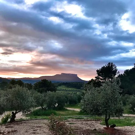 Casa Rural Cortijo La Ajedrea-2