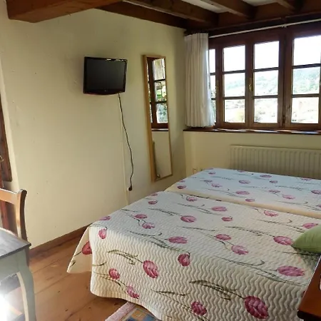 Hotel La Llosona-3
