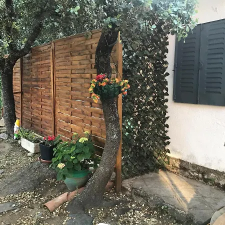Cabaña en la naturaleza 2-2