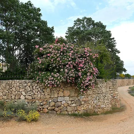 Hotel Rural La Moragona-2