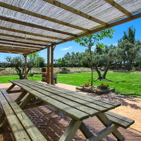 Finca Olivar De La Bardena-2