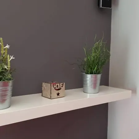 Apartamento en ribeira sacra. Chantada-2