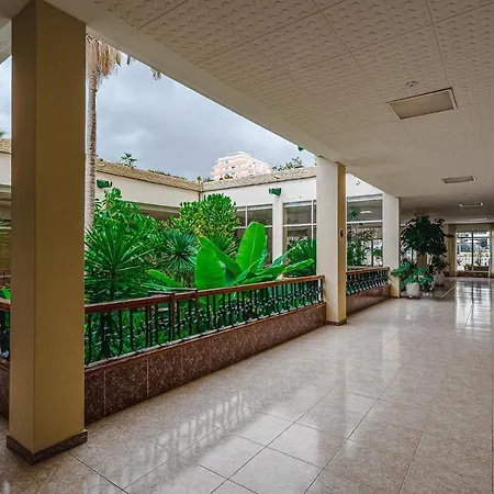 Apartamento En El Dorado Playa De Las Americas-2
