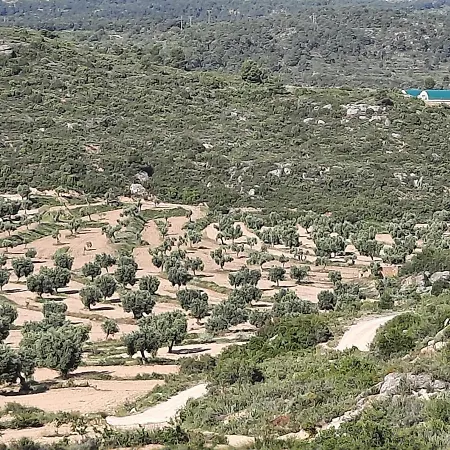 Campo Golden Heritage OFF GRID-2