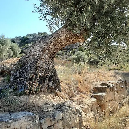 Campo Golden Heritage OFF GRID-3