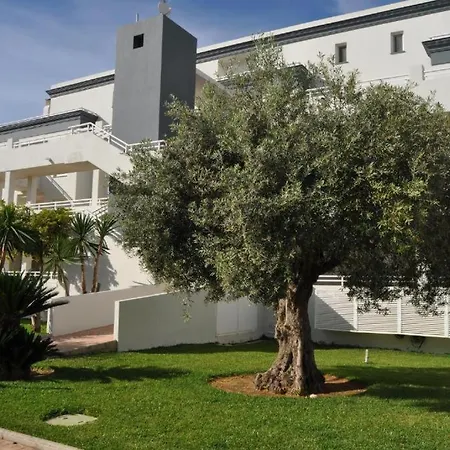 Oasis Hoyo 12 - Oliva Nova Playa Met&Golf-3