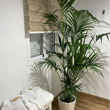 Loft Ben A Ocaz-2