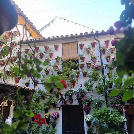 El Capricho De San Fernando, Consigna Gratis Y Parking A 200Mts-3