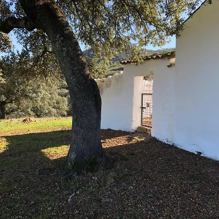 Finca La Vicaria Romero-3